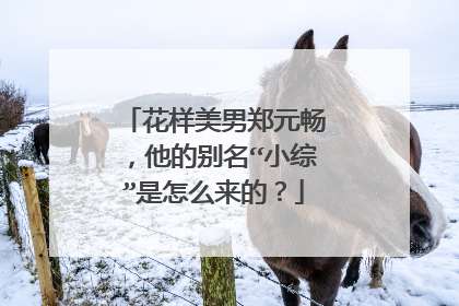 花样美男郑元畅,他的别名“小综”是怎么来的?