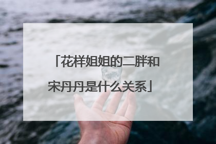 花样姐姐的二胖和宋丹丹是什么关系