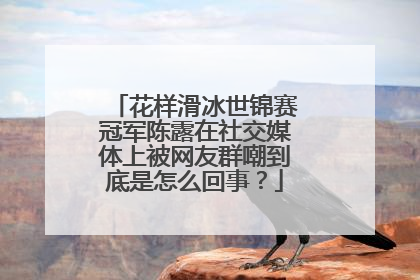 花样滑冰世锦赛冠军陈露在社交媒体上被网友群嘲到底是怎么回事？