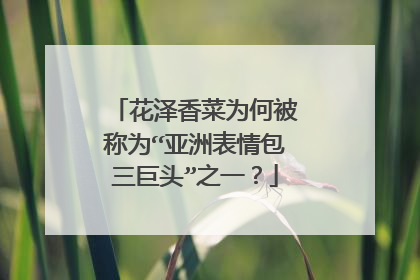 花泽香菜为何被称为“亚洲表情包三巨头”之一?