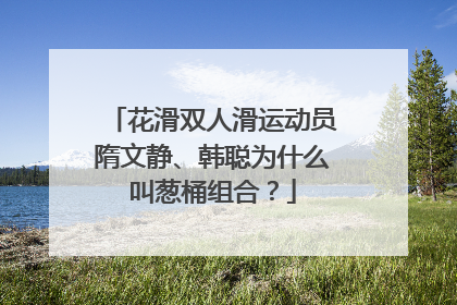 花滑双人滑运动员隋文静、韩聪为什么叫葱桶组合?