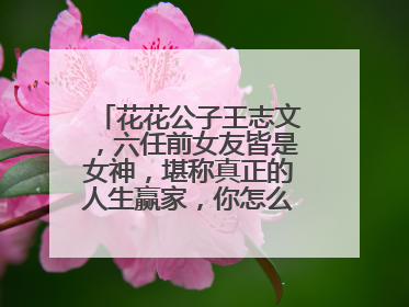 花花公子王志文,六任前女友皆是女神,堪称真正的人生赢家,你怎么看呢?