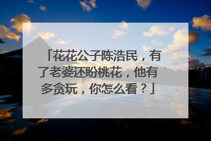 花花公子陈浩民，有了老婆还盼桃花，他有多贪玩，你怎么看？