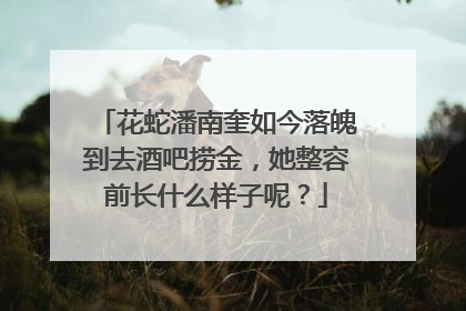 花蛇潘南奎如今落魄到去酒吧捞金,她整容前长什么样子呢?