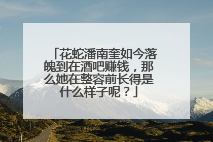 花蛇潘南奎如今落魄到在酒吧赚钱,那么她在整容前长得是什么样子呢?