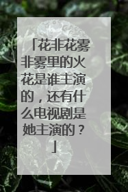 花非花雾非雾里的火花是谁主演的，还有什么电视剧是她主演的？