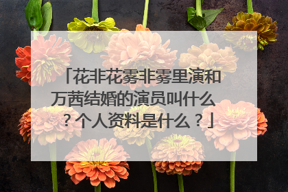 花非花雾非雾里演和万茜结婚的演员叫什么?个人资料是什么?