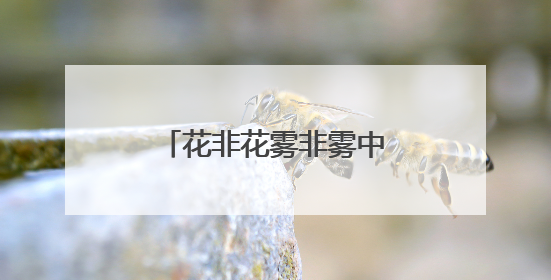 花非花雾非雾中李晟的个人资料