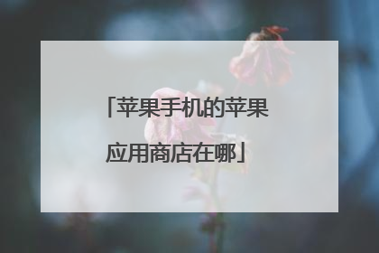 苹果手机的苹果应用商店在哪