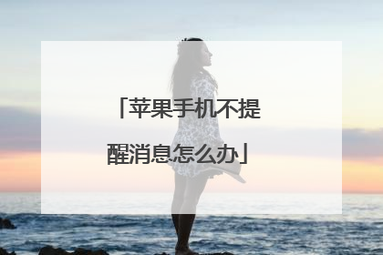 苹果手机不提醒消息怎么办