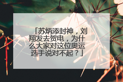 苏炳添封神，刘翔发去贺电，为什么大家对这位奥运选手说对不起？