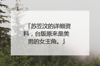 苏笠汶的详细资料,台版原来是美男的女主角。