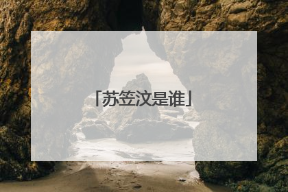 苏笠汶是谁
