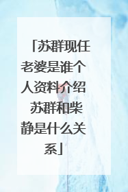 苏群现任老婆是谁个人资料介绍 苏群和柴静是什么关系