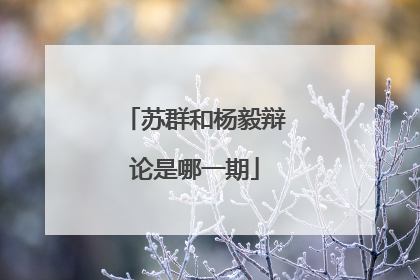 苏群和杨毅辩论是哪一期