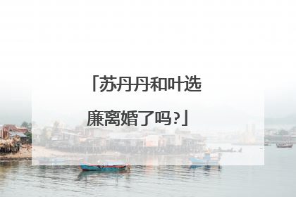 苏丹丹和叶选廉离婚了吗?