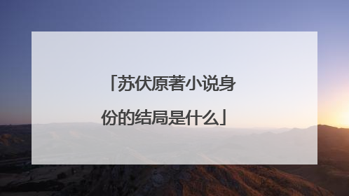 苏伏原著小说身份的结局是什么