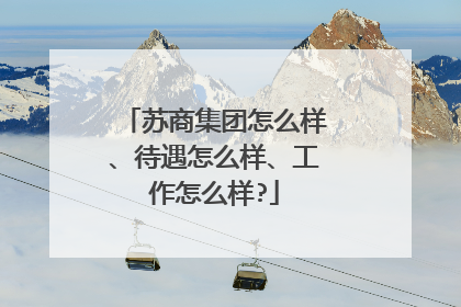 苏商集团怎么样、待遇怎么样、工作怎么样?