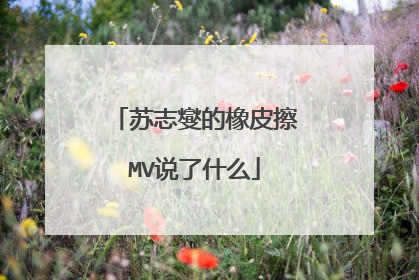 苏志燮的橡皮擦MV说了什么