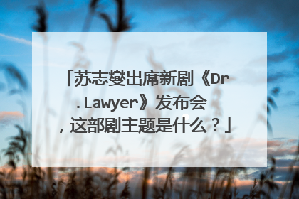 苏志燮出席新剧《Dr.Lawyer》发布会,这部剧主题是什么?