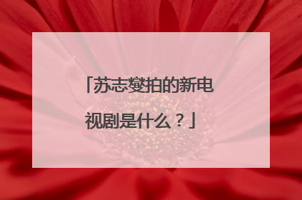 苏志燮拍的新电视剧是什么?