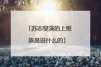 苏志燮演的上班族是说什么的