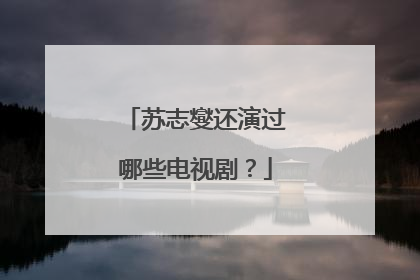 苏志燮还演过哪些电视剧？