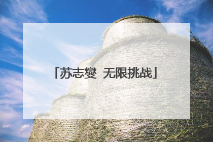 苏志燮 无限挑战