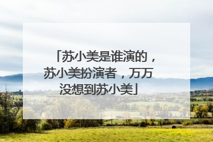 苏小美是谁演的,苏小美扮演者,万万没想到苏小美