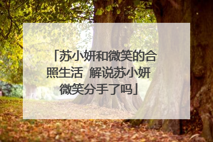 苏小妍和微笑的合照生活 解说苏小妍微笑分手了吗