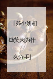 苏小妍和微笑因为什么分手