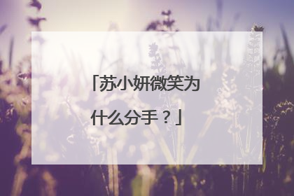 苏小妍微笑为什么分手？