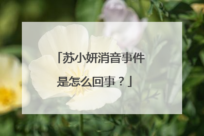 苏小妍消音事件是怎么回事？
