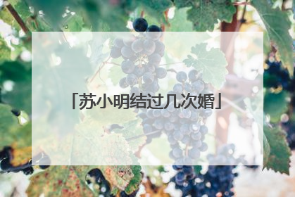 苏小明结过几次婚