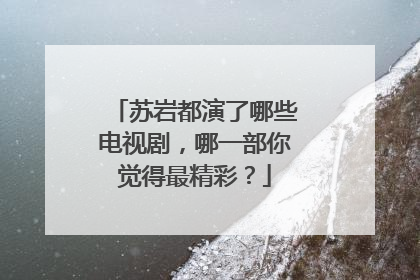 苏岩都演了哪些电视剧,哪一部你觉得最精彩?