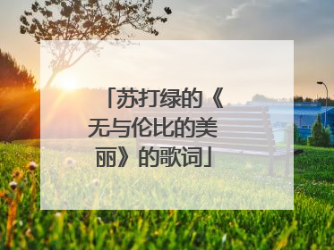 苏打绿的《无与伦比的美丽》的歌词