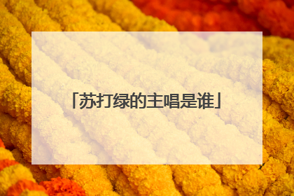 苏打绿的主唱是谁