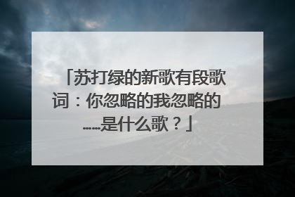 苏打绿的新歌有段歌词：你忽略的我忽略的……是什么歌？