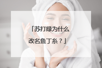 苏打绿为什么改名鱼丁糸?