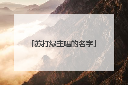 苏打绿主唱的名字