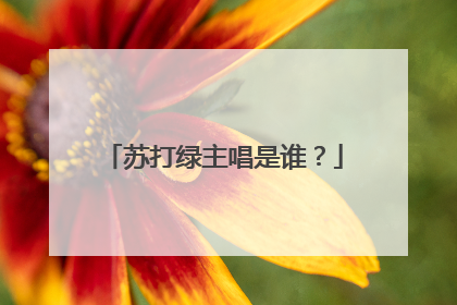 苏打绿主唱是谁？