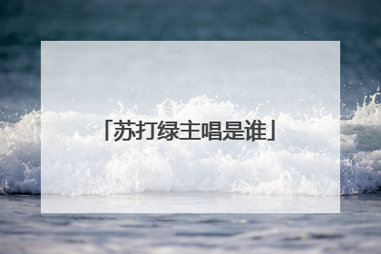 苏打绿主唱是谁