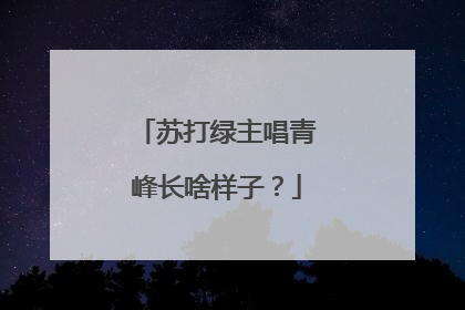 苏打绿主唱青峰长啥样子？