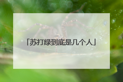 苏打绿到底是几个人