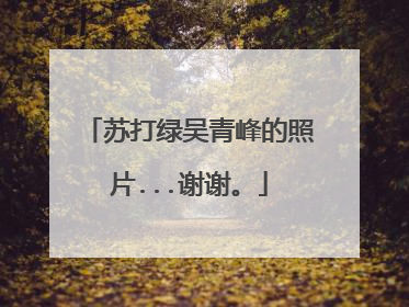 苏打绿吴青峰的照片...谢谢。