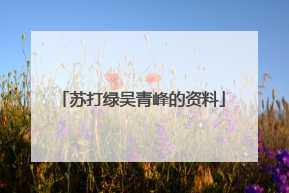 苏打绿吴青峰的资料