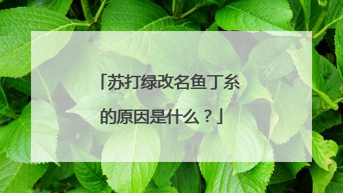 苏打绿改名鱼丁糸的原因是什么?