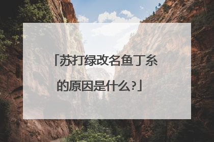 苏打绿改名鱼丁糸的原因是什么?