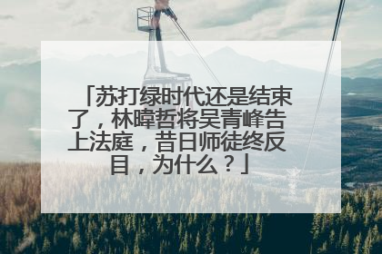 苏打绿时代还是结束了，林暐哲将吴青峰告上法庭，昔日师徒终反目，为什么？