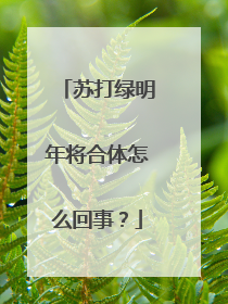 苏打绿明年将合体怎么回事?